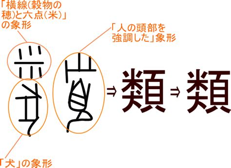 類 漢字|「類」とは？ 部首・画数・読み方・意味